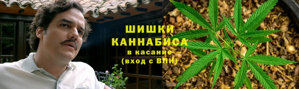 крисы Зерноград